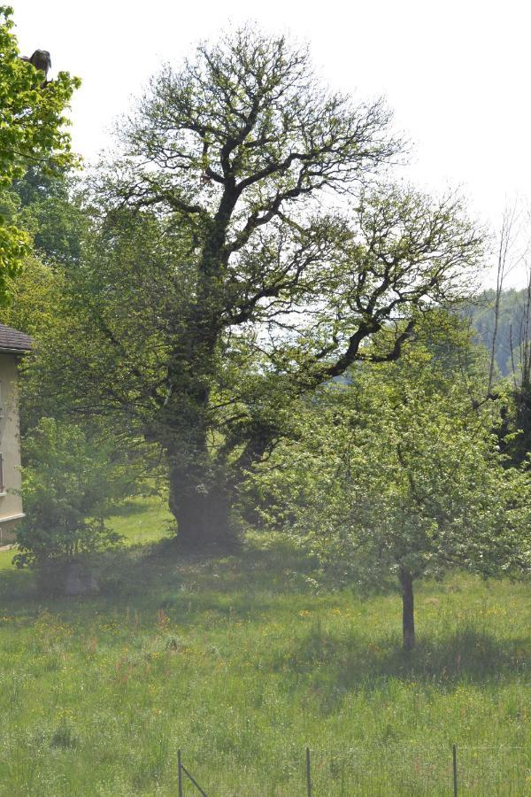 L'Echo Des Montagnes Hotel Armoy Exterior photo